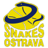 斯特拉瓦蛇