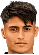 费德里科·麦地那