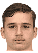 阿明·米季奇