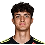 曼努埃尔·冈萨雷斯