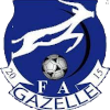 FC加塞列