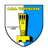 托维索萨