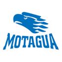 摩塔瓜