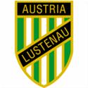 奥地利卢斯特瑙