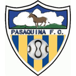 帕萨奎纳