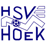 HSV胡克