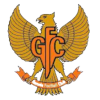 加鲁达FC
